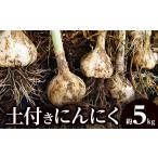 野菜類 土付きにんにく 約5kg