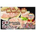 農林水産大臣賞受賞 豚肉 詰め合わせ 2.1kg
