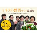 fu.... налог комплект *... Fukushima префектура запад Aizu блок запад Aizu минерал овощи комплект установленный срок рейс ( маленький )2 раз F4D-1404