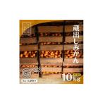 ふるさと納税 果物類 みかん 和歌山県 海南市 蔵出しみかん約10kg 大小混合 《ご家庭用》 ちょっと訳あり 和歌山県産 農園直送 まごころ産直みかん 1月上旬頃…