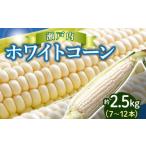 とうもろこし 上品な甘さ 瀬戸内 ホワイトコーン 約2.5kg