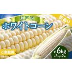 とうもろこし 訳あり ご 瀬戸内ホワイトコーン 約6kg