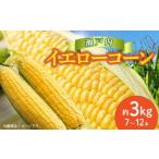 とうもろこし 瀬戸内イエローコーン 約3kg