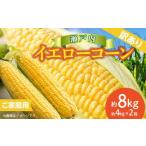 とうもろこし 訳あり ご 瀬戸内イエローコーン 約8kg