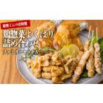鶏肉 セット 能勢どんのファミリーセットA