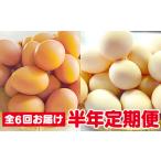 卵 鶏 烏骨鶏等 半年間6回 定期便 ひまわりたまご紅白セット