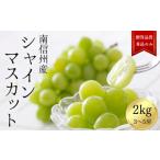 ふるさと納税 ぶどう マスカット 長野県 松川町 JA11-25A ぶどう シャインマスカット 約2kg /2025年9月中旬〜10月中旬ごろ配送 // 長野県 南信州 シャイン …