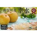 ふるさと納税 梨 長野県 松川町 JA05-25A 梨 幸水 約5kg/2025年8月中旬〜9月上旬ごろ配送 // 糖度センサー選別 厳選 南信州 長野県 和梨 なし ナシ 新鮮 厳…