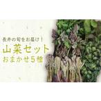 fu.... налог овощи вид дикоросы Yamagata префектура длина . город 2026 год отправка Yamagata. дикоросы случайный 5 вида комплект (700g и больше )_H047(R8)