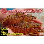 fu.... налог креветка японская тигровая креветка Okinawa префектура .. сиденье ... место из прямая поставка ... внезапный скорость рефрижератор ..L размер примерно 2kg(68~84 хвост |500g×4P) машина море . морепродукты морепродукты seafood si-f...