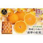 ふるさと納税 みかん・柑橘類 鹿児島県 南さつま市  至高の熟成柑橘 「薩摩の紅桜（不知火）」2Lサイズ15玉 果物 フルーツ 熟成 柑橘 長期貯蔵 しらぬい 不知…