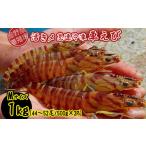 fu.... налог креветка японская тигровая креветка Okinawa префектура .. сиденье ... место из прямая поставка ... внезапный скорость рефрижератор ..M размер примерно 1kg(44~52 хвост |500g×2P) машина море . морепродукты морепродукты seafood si-f...