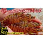fu.... налог креветка японская тигровая креветка Okinawa префектура .. сиденье ... место из прямая поставка ... внезапный скорость рефрижератор ..M размер примерно 2kg(88~104 хвост |500g×4P) машина море . морепродукты морепродукты seafood si-...