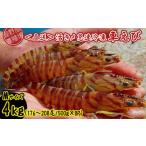 fu.... налог креветка японская тигровая креветка Okinawa префектура .. сиденье ... место из прямая поставка ... внезапный скорость рефрижератор ..M размер примерно 4kg(176~208 хвост |500g×8P) машина море . морепродукты морепродукты seafood si-...