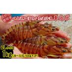 fu.... налог креветка японская тигровая креветка Okinawa префектура .. сиденье ... место из прямая поставка ... внезапный скорость рефрижератор ..2L размер примерно 1kg(28~32 хвост |500g×2P) машина море . морепродукты морепродукты seafood si-...