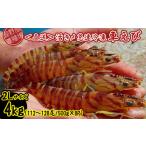 fu.... налог креветка японская тигровая креветка Okinawa префектура .. сиденье ... место из прямая поставка ... внезапный скорость рефрижератор ..2L размер примерно 4kg(112~128 хвост |500g×8P) машина море . морепродукты морепродукты seafood si...