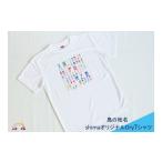服 男 843shimaオリジナルDryTシャツ