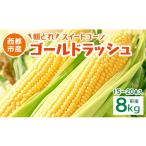 野菜類 初夏の味覚 鮮度が命 生産者直送 村田さん家のゴー…