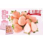 ふるさと納税 いちご 熊本県 玉名市 熊本玉名 白いちご 「 淡雪 」 ( 大玉限定 400g ) 《 化粧箱付 》 | フルーツ 果物 くだもの いちご イチゴ 苺 白苺 あわ…