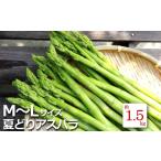 fu.... налог овощи вид спаржа Yamagata префектура длина . город 2026 год отправка лето ..aspala(M~L размер * примерно 1.5kg)_H052(R8)