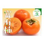 富有柿 約9kg