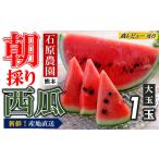 ふるさと納税 スイカ 熊本県 和水町 先行予約 朝採り 新鮮 大玉スイカ(1玉) 熊本県産 2026年5月頃〜7月中旬頃まで順次発送 | 熊本県産 西瓜 すいか 産地直…