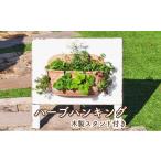 花 苗木 植物 ハーブのハンキング 木製スタンド付き