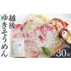 麺類 南 越後ゆきそうめん 200g×30袋