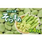 果物類 旬の味覚 そらまめ 約4kg