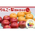 ふるさと納税 りんご 長野県 松川町 AS04 りんご・梨 詰め合わせ シナノスイート・南水（松川町産）秀品 約5kg ／2026年10月上旬〜10月中旬頃 配送予定 ／／ …