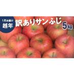 ふるさと納税 りんご 長野県 松川町 AS12-25A りんご サンふじ 越年自家用(松川町産)約5kg /2026年1月中旬〜2月中旬頃 配送予定 // 長野県 南信州 さんふ…
