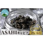 魚貝類 キャビア ASAHIキャビア20g×6ヶ月定期便