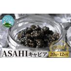魚貝類 キャビア ASAHIキャビア20g×12ヶ月定期便