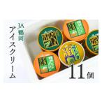 菓子 アイス A01-701 鶴岡アイスクリーム11個セット
