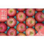 ふるさと納税 りんご 山形県 長井市 2025年11月〜12月発送分先行受付 「優品」山形のりんご(サンふじ)約5kg_H082(R7)