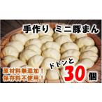 豚肉 セット 豚まん職人手作りのミニ豚まん30個