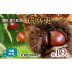 fu.... налог фрукты вид каштан Kumamoto префектура . блок каштан . сырой культивирование ...... сельское хозяйство .. лампочка . каштан примерно 1.9kg 2026 год отправка рассылка не возможно отдаленный остров фрукты вид ..