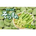 果物類 旬の味覚 そらまめ 約2kg