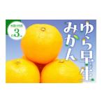 果物類 みかん 特秀品 真っ赤なお蜜柑 小原紅早生 約3kg