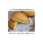 焼菓子 チョコレート マドレーヌ I-73ロンド