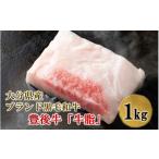 牛肉 牛 豚の切り落としセット 真空包装 計1kg_2472R