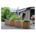 文房具 玩具 産桧の植木鉢キューブ
