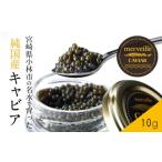 魚貝類 キャビア 定期便 全12回 純 宮崎キャビア