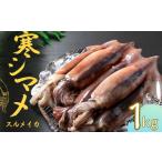イカ 感謝価格 朝どれスルメイカ 丸ごと5本