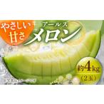 ふるさと納税 メロン メロン青肉 長崎県 小値賀町 小値賀町大人気メロン アールスメロン 約4kg(2玉)果物 8月初旬順次発送 メロン めろん アールスメロン 長…