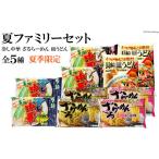 麺類 常温 別送 即時交換 島原市　ふるさと納税 麺類 長崎県 島原市 CD209 夏季限定 夏ファミリーセット（全5種2袋）［ 詰め合わせ 冷やし中華 ラーメン 皿うどん らーめん 麺 めん たれ スープ…