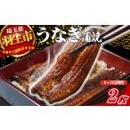 うなぎ 鰻 定期便 6回 蒲焼 2尾