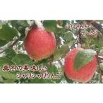 ふるさと納税 りんご 北海道 増毛町 7-020-008 山口さんちのりんご(サンふじ) 10kg 1月発送