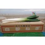 fu.... налог овощи вид лук порей Chiba префектура 9 10 9 . блок белый песок лук порей LL размер примерно 5kg No.5743-0099