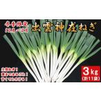 fu.... налог овощи вид лук порей Shimane .. город .. бог .(.. есть ) лук порей 